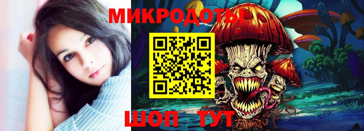 Псилоцибиновые грибы Psilocybe  Вход с VPN  Полысаево 